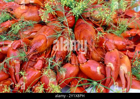 Typische Flusskrebs-/Krebskrebsparty in Finnland im August 2024 Stockfoto