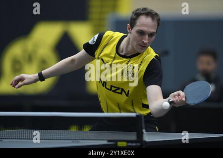 Tischtennis-Bundesliga 4. Spieltag BV Borussia 09 Dortmund - ASC Gruenwettersbach am 08.09.2024 in der Bruegmann-Sporthalle in Dortmund CEDRIC NUYTINCK ( Dortmund ) Foto: Revierfoto Stockfoto