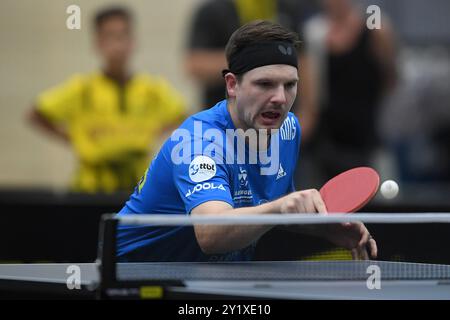 Tischtennis-Bundesliga 4. Spieltag BV Borussia 09 Dortmund - ASC Gruenwettersbach am 08.09.2024 in der Bruegmann-Sporthalle in Dortmund RICARDO WALTHER ( Gruenwettersbach ) Foto: Revierfoto Stockfoto