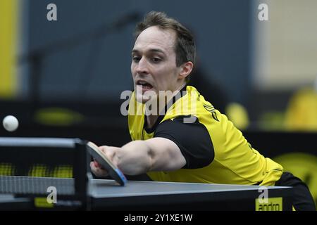 Tischtennis-Bundesliga 4. Spieltag BV Borussia 09 Dortmund - ASC Gruenwettersbach am 08.09.2024 in der Bruegmann-Sporthalle in Dortmund CEDRIC NUYTINCK ( Dortmund ) Foto: Revierfoto Stockfoto