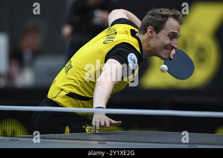 Tischtennis-Bundesliga 4. Spieltag BV Borussia 09 Dortmund - ASC Gruenwettersbach am 08.09.2024 in der Bruegmann-Sporthalle in Dortmund CEDRIC NUYTINCK ( Dortmund ) Foto: Revierfoto Stockfoto