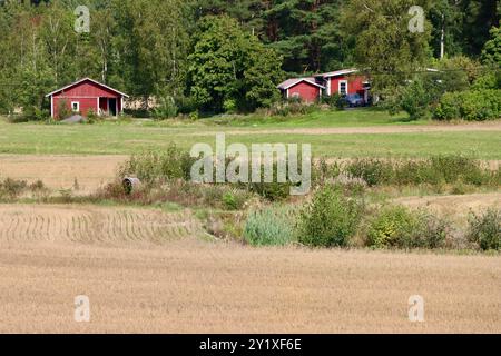 Große landwirtschaftliche Felder in der Nähe von Loviisa in Südfinnland, August 2024 Stockfoto