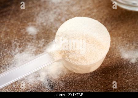 Kollagenpulver in einem Kunststoff-Messlöffel auf einem Holztisch Stockfoto