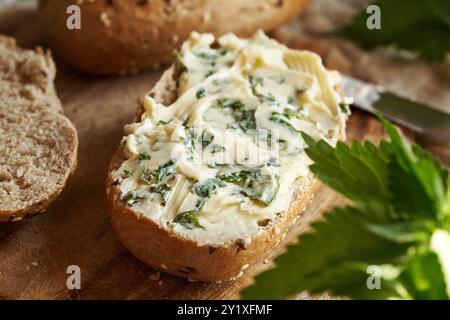 Brennnesselbutter - hausgemachter Brotaufstrich aus wilden essbaren Pflanzen, auf einer Scheibe Sauerteigbrot, Nahaufnahme Stockfoto