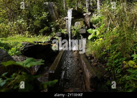 Wildwasserpfad, Mariensee, Niederösterreich, Österreich Stockfoto