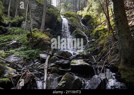 Wildwasserpfad, Mariensee, Niederösterreich, Österreich Stockfoto