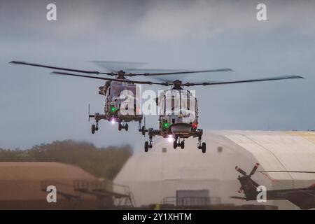 Black Cats Display Team Stockfoto