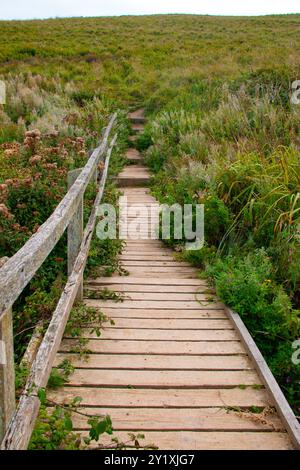 Herrlicher Cornish Coastal Path in Crantock, Cornwall Stockfoto