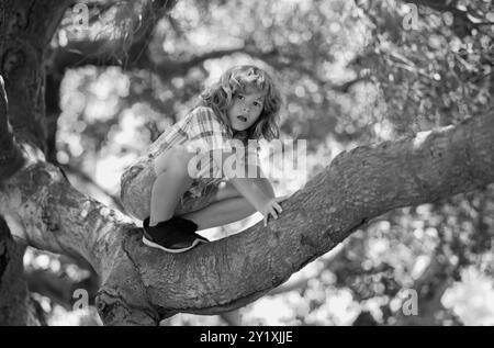 8 Jahre alter Junge, der im Park hoch auf Bäume klettert. Die Höhenangst überwinden. Glückliche Kindheit. Der Junge klettert auf den Baum. Stockfoto