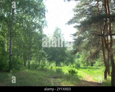 Sibirischer Erbsenstrauch (Caragana arborescens) Plantae Stockfoto