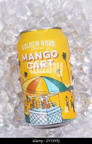 IRVINE, KALIFORNIEN - 6. SEPTEMBER 2024: Eine Dose Golden Road Mango Cart Wheal Ale auf einem Eisbett. Stockfoto