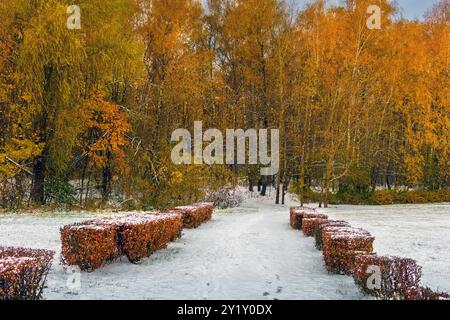 Sie betreten den malerischen Orangenwald, die Straße geht in die Ferne. Erster Schnee. Stockfoto