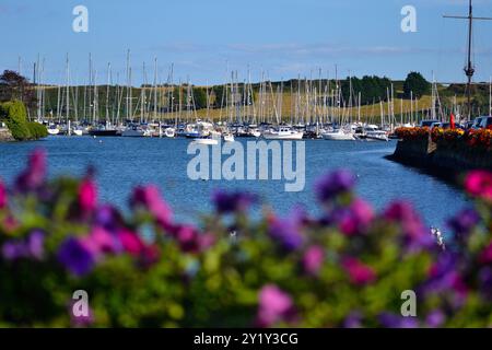 Segelwoche in Kinsale Stockfoto