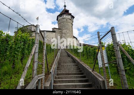 Schloss Munot in Schaffhausen, Schweiz, eine kreisförmige Festung aus dem 16. Jahrhundert im Zentrum von Schaffhausen Stockfoto