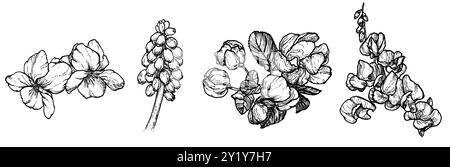 Frühlingsblumenzeichnung mit Strichgrafik auf weißem Hintergrund Stockfoto