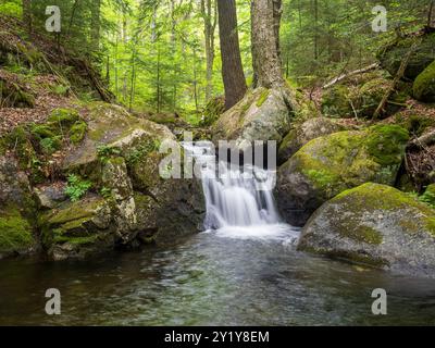 Ein kleiner Wasserstrom fließt zwischen großen Felsen. Das Wasser ist klar und ruhig und die Umgebung ist üppig und grün. Die Szene ist friedlich und Stockfoto