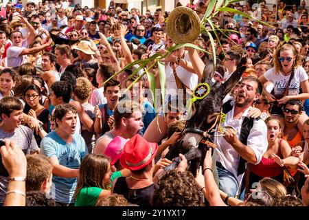 Parodie auf das menorquinische Pferdefest mit Eseln, 'Jaleo d'ASEs', Sant Bartomeu Festival, Ferreries, Menorca, Balearen, Spanien. Stockfoto