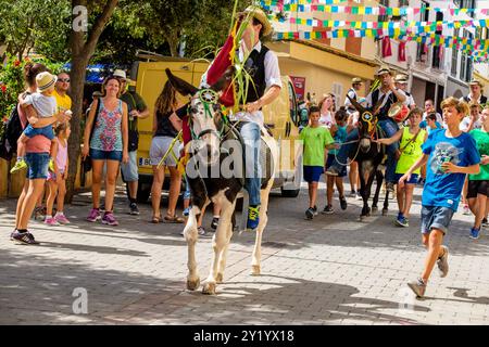 Parodie auf das menorquinische Pferdefest mit Eseln, 'Jaleo d'ASEs', Sant Bartomeu Festival, Ferreries, Menorca, Balearen, Spanien. Stockfoto