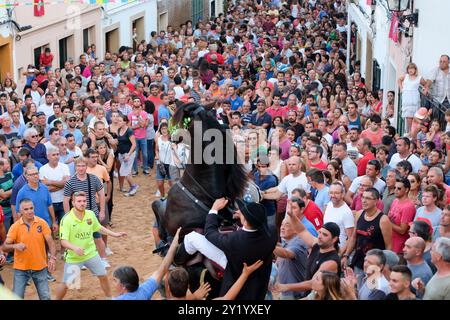 Traditioneller Tanz mit Pferden, „Jaleo“, aus dem 14. Jahrhundert, Festlichkeiten von Sant Bartomeu, Ferreries, Menorca, Balearen, Spanien. Stockfoto