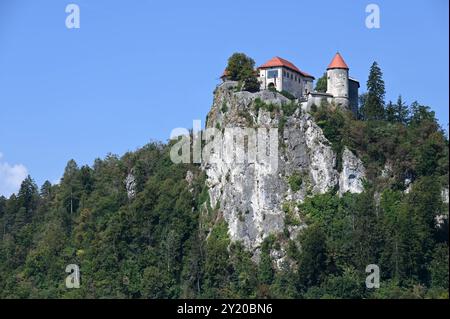 Urlaub mit Margot Stadlmann in Porec/Kroatien, am 31.08.2024. Das Bild zeigt die Burg von Bled in Slowenien 2024 - Urlaub mit Margot Stadlmann in Porec/Kroatien, am 31.08.2024. *** Urlaub mit Margot Stadlmann in Porec Kroatien, am 31 08 2024 das Bild zeigt das Schloss Bled in Slowenien 2024 Urlaub mit Margot Stadlmann in Porec Kroatien, am 31 08 2024 Stockfoto