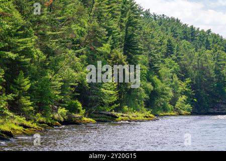 Die felsige Küste aus kambrischem Sandstein entlang des Wisconsin River in den Wisconsin Dells. Stockfoto