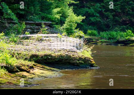 Die felsige Küste aus kambrischem Sandstein entlang des Wisconsin River in den Wisconsin Dells. Stockfoto