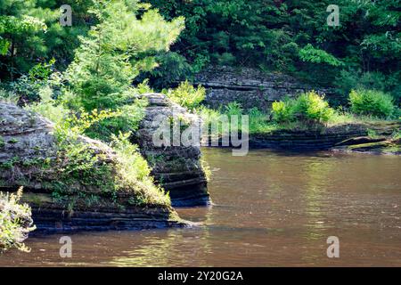 Die felsige Küste aus kambrischem Sandstein entlang des Wisconsin River in den Wisconsin Dells. Stockfoto