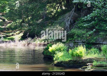 Die felsige Küste aus kambrischem Sandstein entlang des Wisconsin River in den Wisconsin Dells. Stockfoto