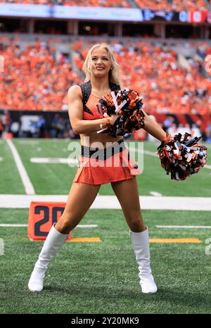 Cincinnati, Ohio, USA. September 2024. BEN-GALS Cheerleader tritt während des regulären Saisonspiels zwischen den New England Patriots und Cincinnati Bengals in Cincinnati, Ohio, auf. JP Waldron/Cal Sport Media/Alamy Live News Stockfoto