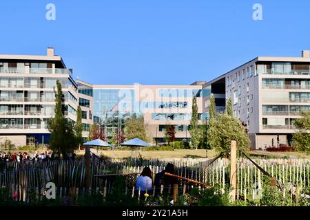 Alma Media Building östlich des Töölönlahti Parks im Zentrum von Helsinki, Finnland, August 2024 Stockfoto