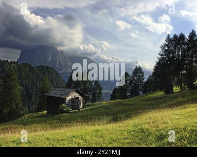 Almhütte auf der Seceda bei Wolkenstein in Gröden, Italien, Europa Stockfoto