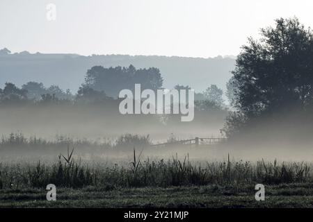 Am frühen Morgen Nebel über Wiese in Arundel, West Sussex Stockfoto
