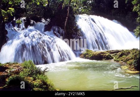 Die Agua Azul Wasserfälle in Mexiko Stockfoto