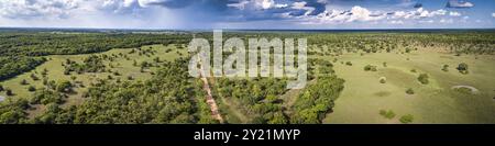 Panorama aus der Vogelperspektive der typischen Pantanallandschaft mit Transpantaneira, Wiesen, Wald, Weiden und dramatischem Himmel, Pantanal Feuchtgebieten, Mato Grosso, Br Stockfoto