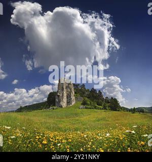 Blumenwiese bei Burgsteinfelsen bei Dolnstein, Deutschland, Europa Stockfoto