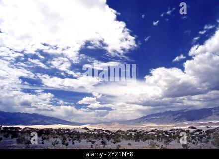 Sanddünen im Death Valley, Nevada, USA, Nordamerika Stockfoto