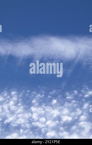 Streifenförmige und geschwollene Cirrocumulus-Wolken gegen blauen Himmel. Hochformat Stockfoto