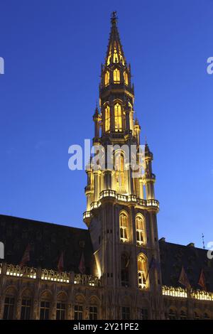 Rathaus in Brussel bei Twillight beleuchtet während Lichtshow Stockfoto