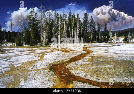 Yellow Stone NP Upper Geyser Basin 1988 während des Great Forest Fire, USA, Nordamerika Stockfoto