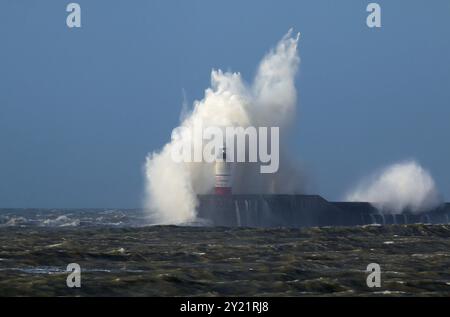 Die Welle bricht über dem Newhaven Lighthouse in East Sussex, mit Gull gegen weiße Wellen und raues Meer Stockfoto