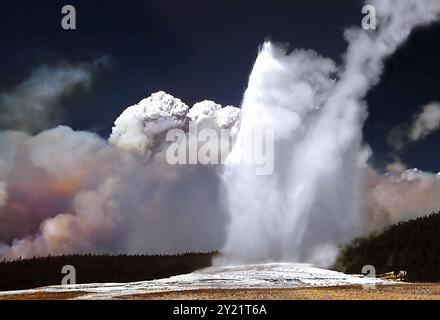 Old Faithful Geysir in Yellow Stone NP mit dem großen Waldbrand von 1988, USA, Nordamerika Stockfoto