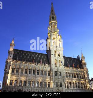 Rathaus in Brussel bei Twillight beleuchtet während Lichtshow Stockfoto