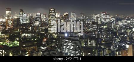 Tokio bei Nacht Panorama mit beleuchteten Wolkenkratzern Stockfoto