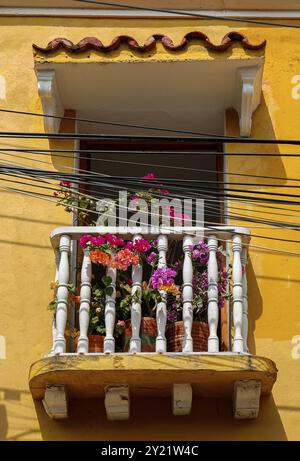 Nahaufnahme eines kleinen Balkons mit blühenden Pflanzen und Stromleitungen an einer gelben Hausfassade an einem sonnigen Tag in der Altstadt, Cartagena, Kolumbien, South Ameri Stockfoto