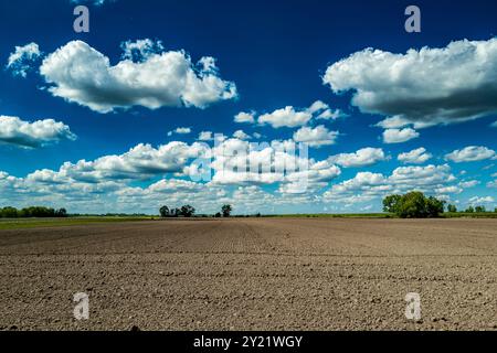 Düngemittelboden für wachsende Pflanzen. Schlamm auf dem Feld. Agrarindustrie. Boden für den Anbau von Pflanzen. Gartensaison. Sauberer Boden für den Anbau. Boden Stockfoto