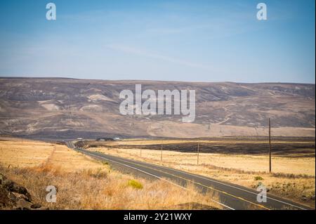 Graslandschaften in Oregon nahe dem Columbia River-Becken, die durch die jüngsten Waldbrände auf Graslandflächen beschädigt wurden. Bundesstaat Oregon, USA. Stockfoto