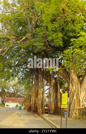 20. Januar 2019, Galle, Sri Lanka Souvenirs in der Galle Festung Stockfoto