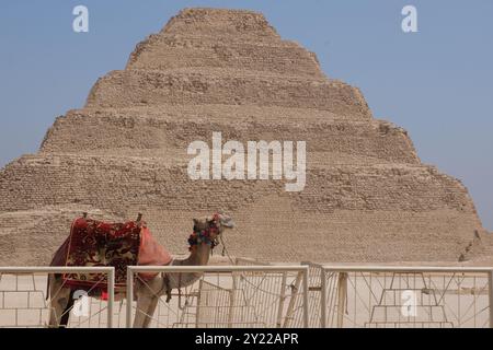 Djoser Pyramide in Sakkara Ägypten Stockfoto