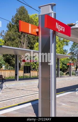 Ngara Tram Station im Cumberland Hospital Stockfoto