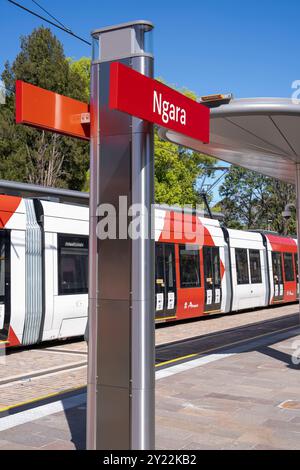 Ngara Tram Station im Cumberland Hospital Stockfoto